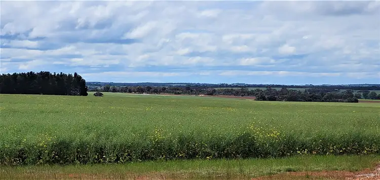 Fifth view of Homely rural property listing, ' Smiths & Wernup', Katanning WA 6317
