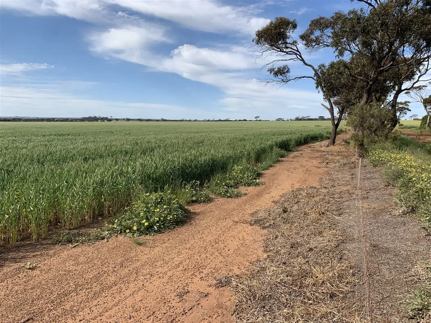 Main view of Homely rural property listing, Address available on request