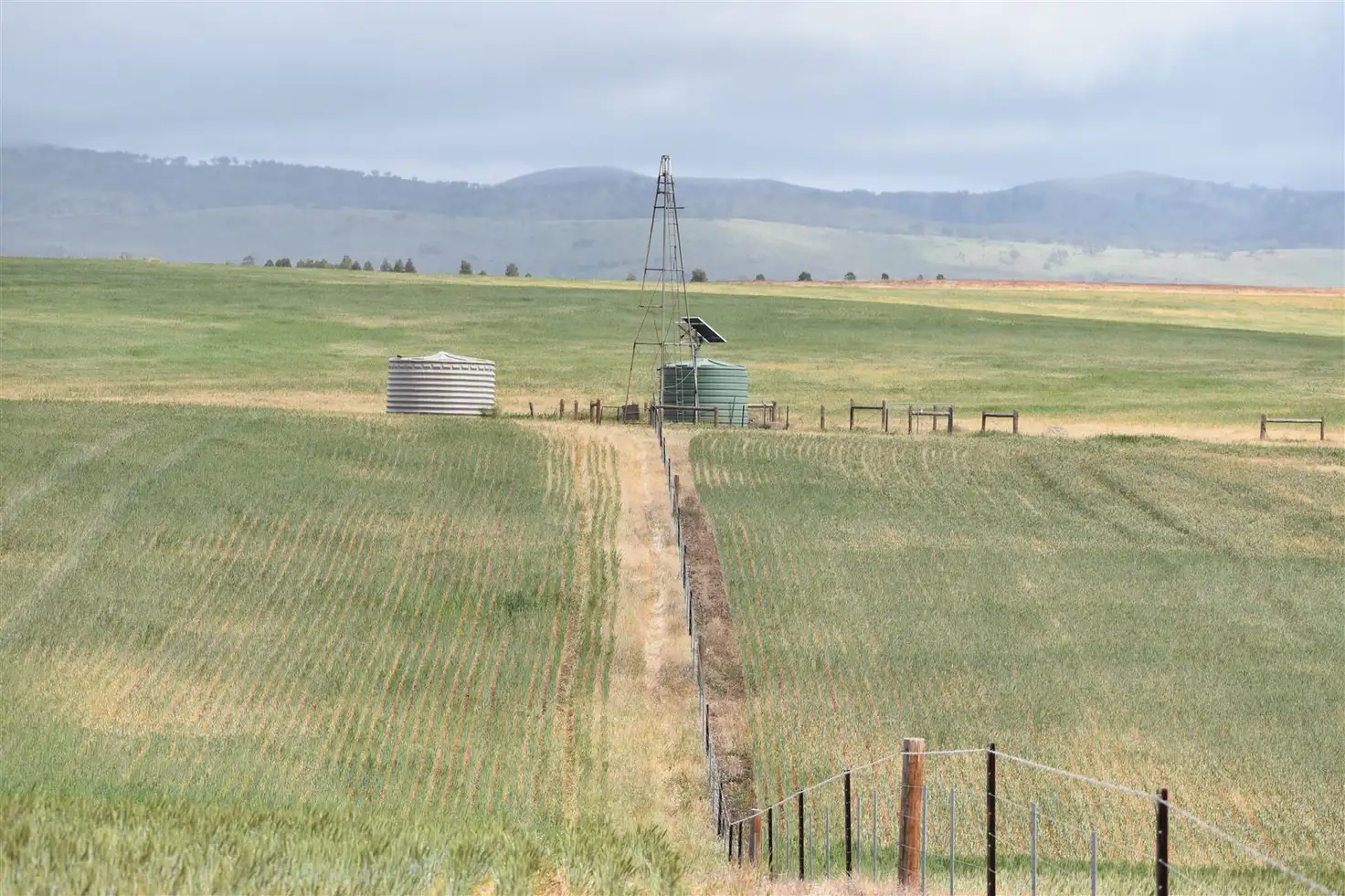 Main view of Homely rural property listing, Allot 707 Wilmington Rd, Wilmington SA 5485