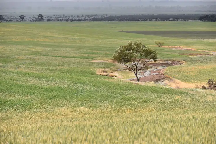 Second view of Homely rural property listing, Allot 707 Wilmington Rd, Wilmington SA 5485