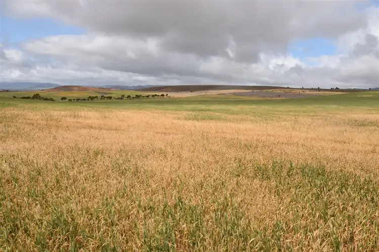 Fifth view of Homely rural property listing, Allot 707 Wilmington Rd, Wilmington SA 5485