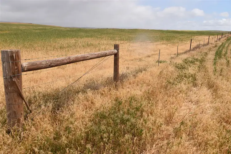 Sixth view of Homely rural property listing, Allot 707 Wilmington Rd, Wilmington SA 5485