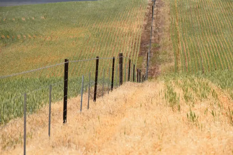 Seventh view of Homely rural property listing, Allot 707 Wilmington Rd, Wilmington SA 5485