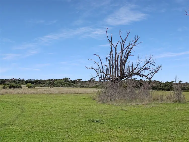 Sixth view of Homely rural property listing, 88F Wills Road, Port Albert VIC 3971