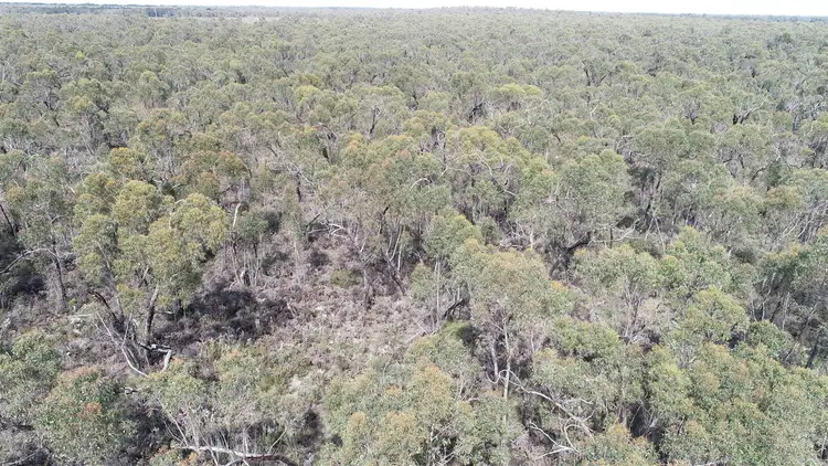 Fifth view of Homely land listing, Lot 9 Patricias Road, Edenhope VIC 3318