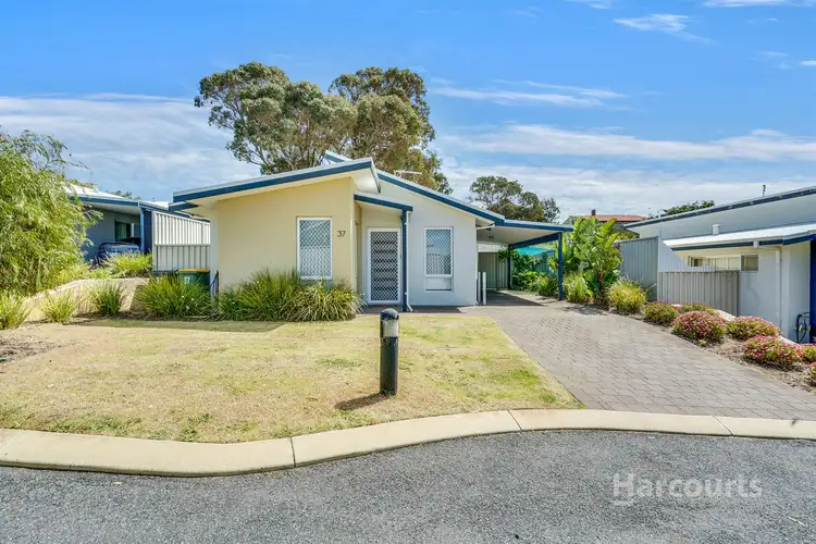 Main view of Homely unit listing, 37 Ferguson Street, Falcon WA 6210