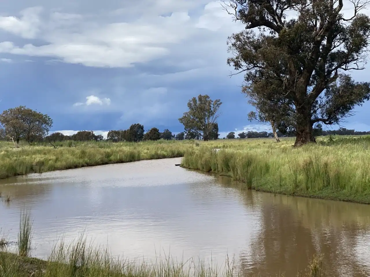 Main view of Homely rural property listing, Address available on request