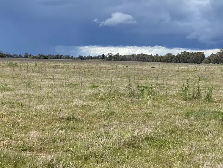 Fifth view of Homely rural property listing, Address available on request