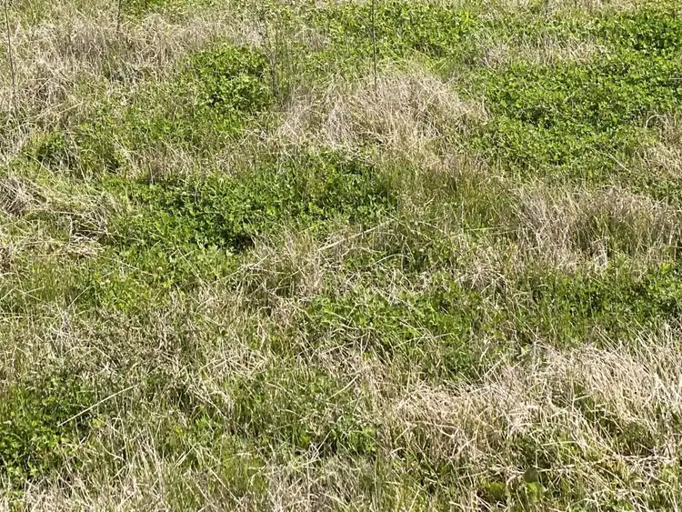 Sixth view of Homely rural property listing, Address available on request