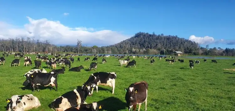 14593 Highland Lakes Road, Deloraine TAS 7304