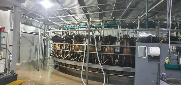 Third view of Homely rural property listing, 14593 Highland Lakes Road, Deloraine TAS 7304