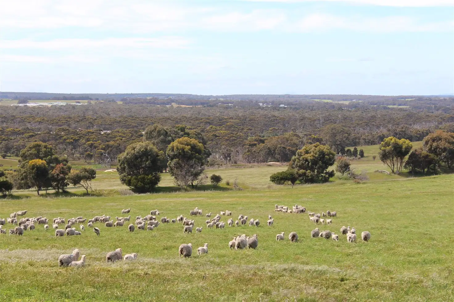 Main view of Homely rural property listing, ' O'Neil Road, Mount Barker WA 6324