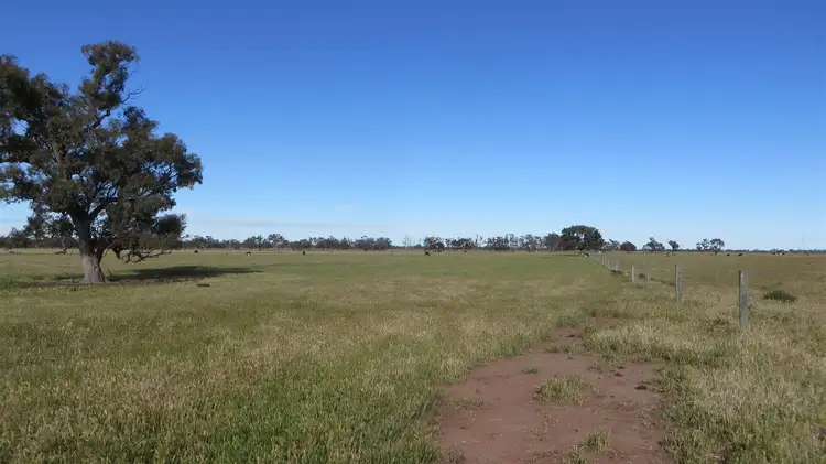 Seventh view of Homely rural property listing, 3739 Loddon Valley Highway, Kerang VIC 3579