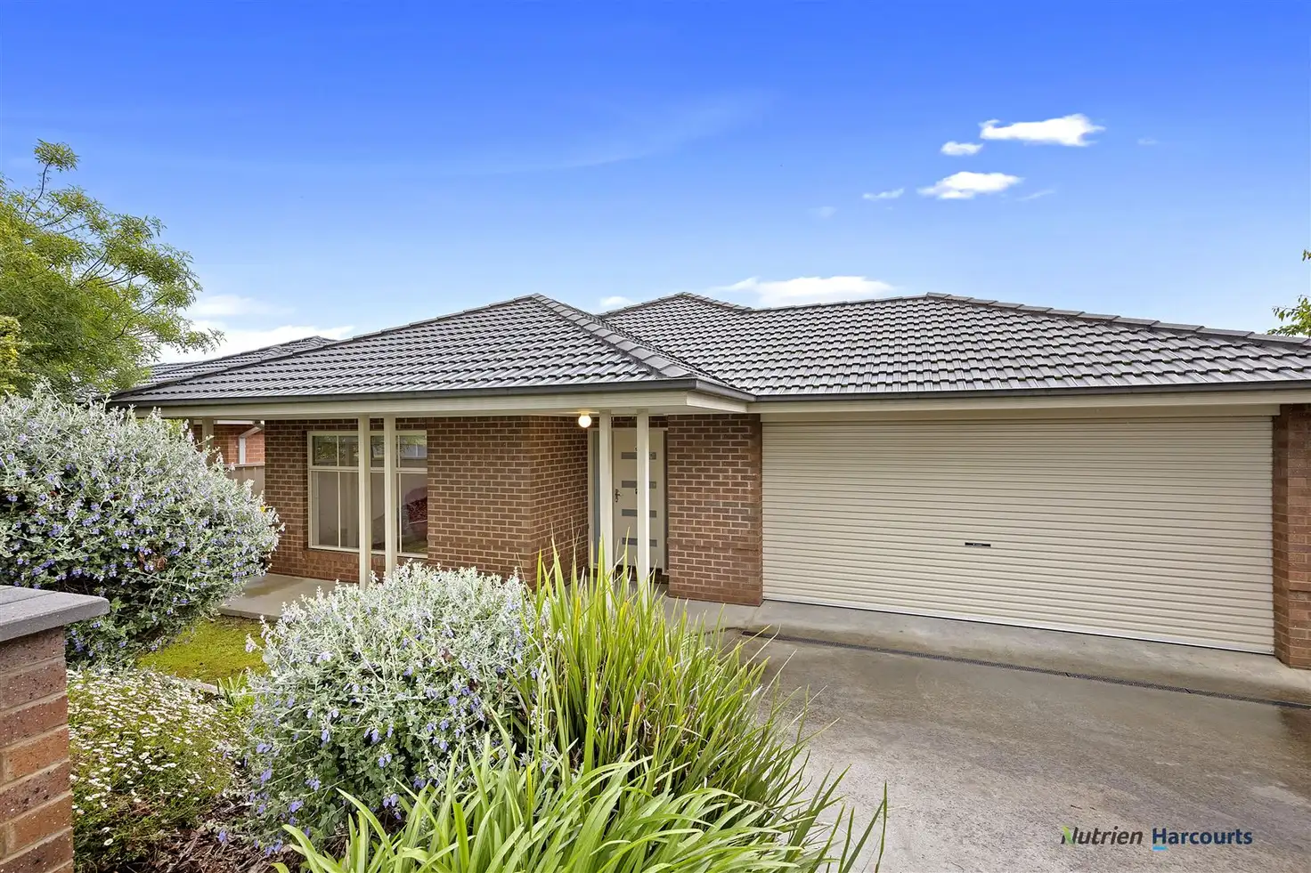 Main view of Homely house listing, 55A Nihil Street, Alexandra VIC 3714
