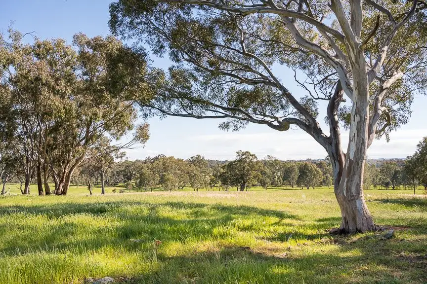 Main view of Homely rural property listing, 340 Terrett Road, Goomalibee VIC 3673