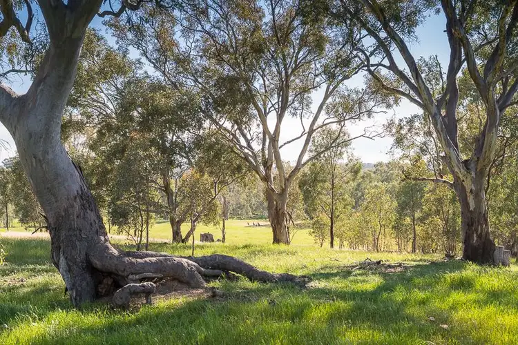 Fourth view of Homely rural property listing, 340 Terrett Road, Goomalibee VIC 3673