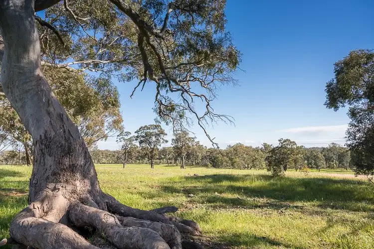 Sixth view of Homely rural property listing, 340 Terrett Road, Goomalibee VIC 3673