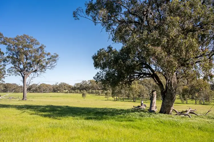 Seventh view of Homely rural property listing, 340 Terrett Road, Goomalibee VIC 3673