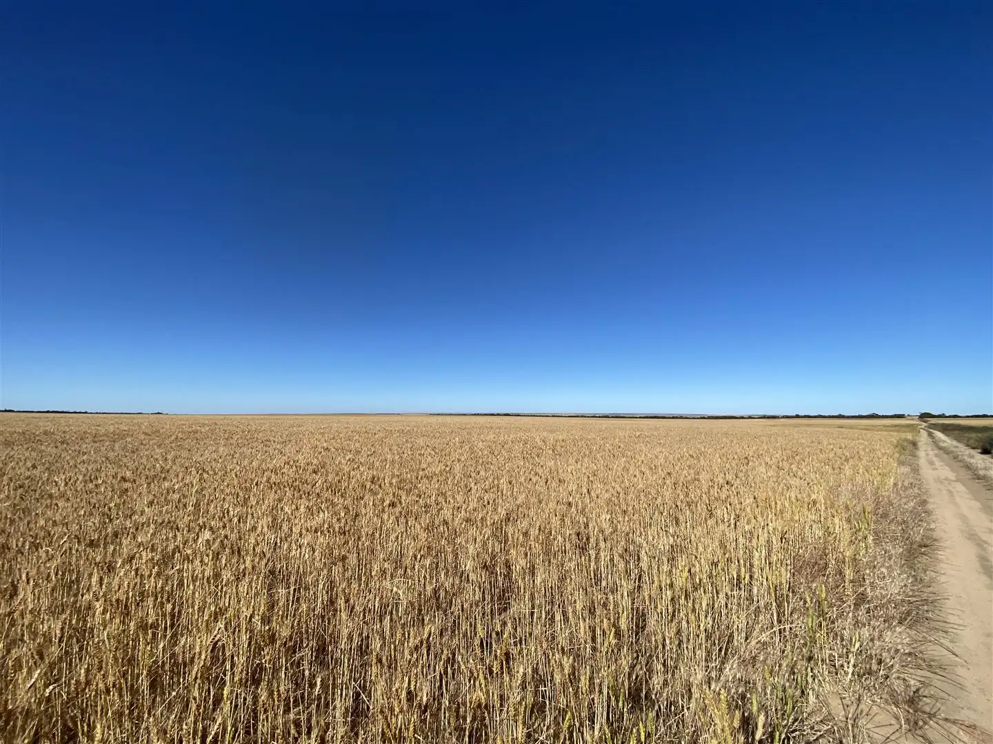 Main view of Homely rural property listing, ' Evan's', Beacon WA 6472