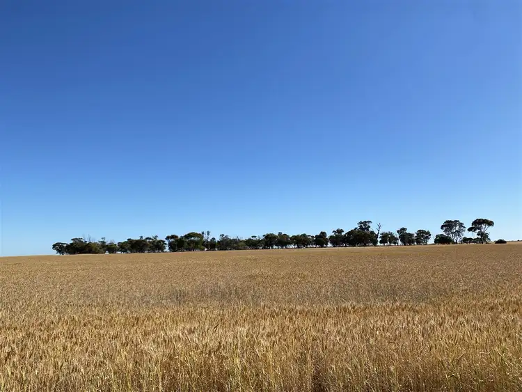 Seventh view of Homely rural property listing, ' Evan's', Beacon WA 6472