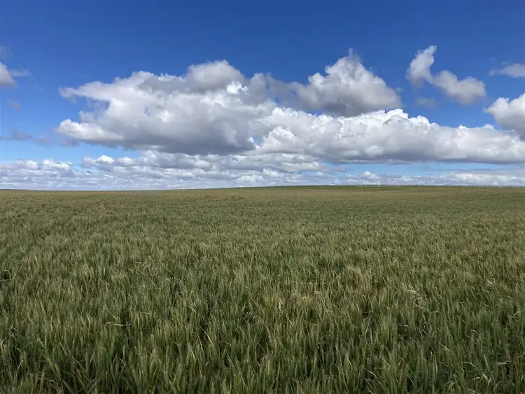 Fifth view of Homely rural property listing, 1535 Tooligie Hill Road, Murdinga SA 5607