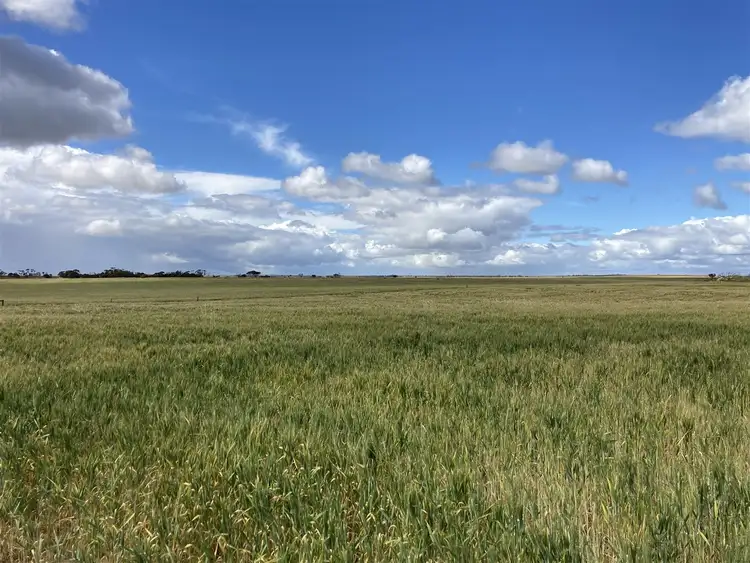 Sixth view of Homely rural property listing, 1535 Tooligie Hill Road, Murdinga SA 5607