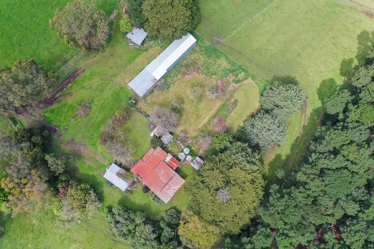 Sixth view of Homely rural property listing, 277 Curdies River Rd, Timboon VIC 3268