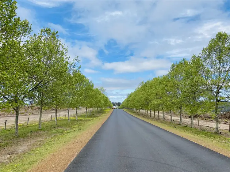 Second view of Homely land listing, 6 Highland Avenue, Bridgetown WA 6255