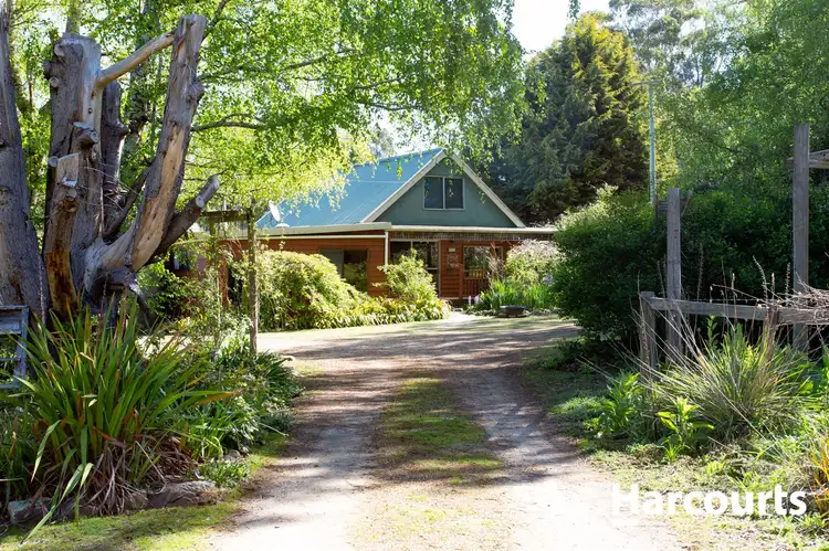 Main view of Homely rural property listing, 211 Farrells Road, Reedy Marsh TAS 7304