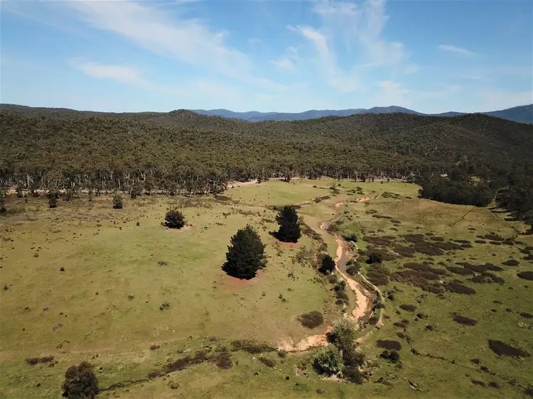 165 Hutchison Road, Bonang VIC 3888