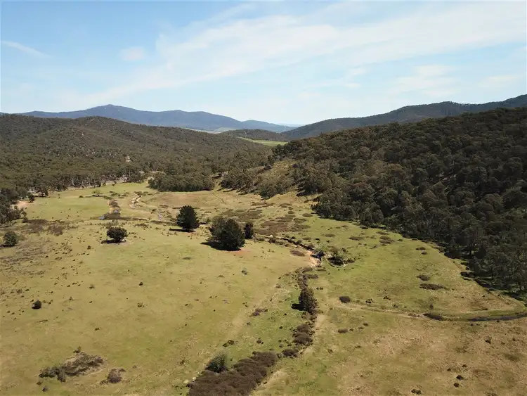 Second view of Homely rural property listing, 165 Hutchison Road, Bonang VIC 3888