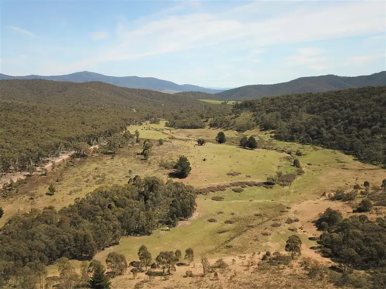 Third view of Homely rural property listing, 165 Hutchison Road, Bonang VIC 3888