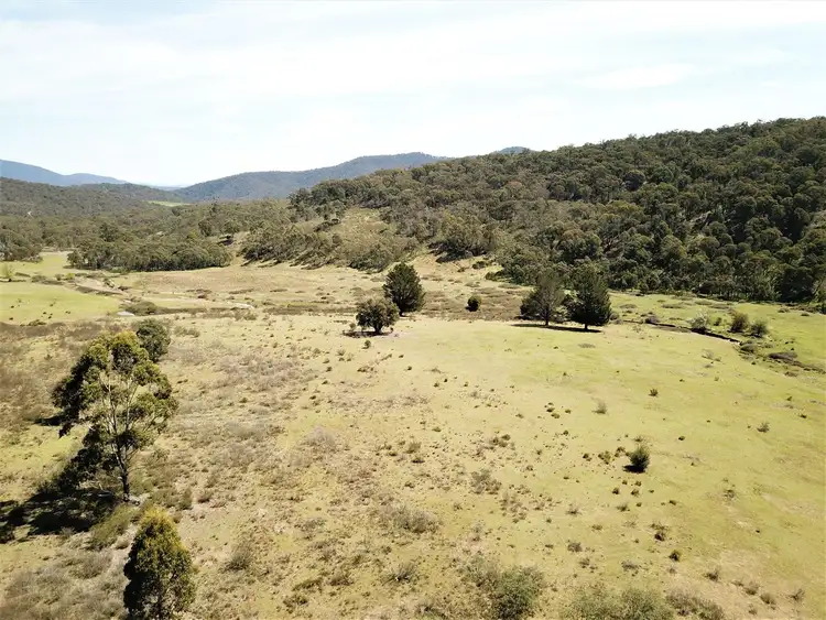 Sixth view of Homely rural property listing, 165 Hutchison Road, Bonang VIC 3888