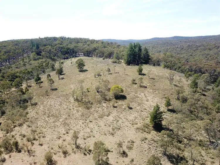 Seventh view of Homely rural property listing, 165 Hutchison Road, Bonang VIC 3888