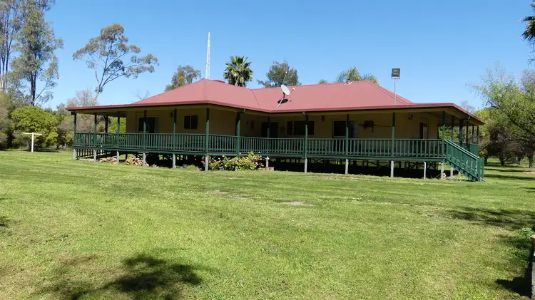 Main view of Homely house listing, 513 Udora Rd, Warren NSW 2824