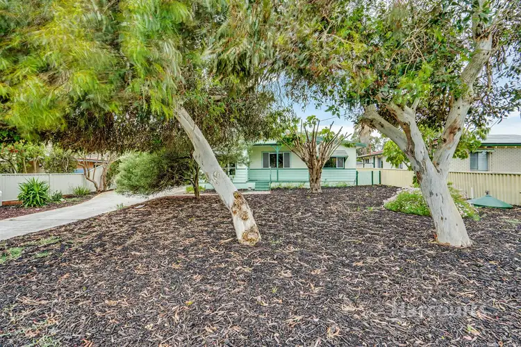 Third view of Homely house listing, 31 Terry Crescent, Mandurah WA 6210