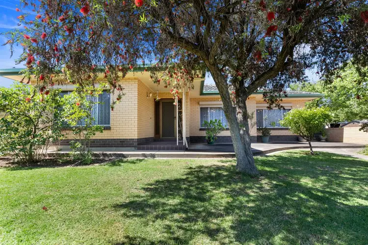 20 Ascot Avenue, Vale Park SA 5081