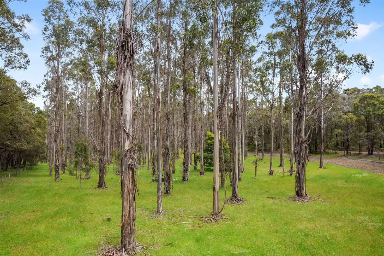 Main view of Homely land listing, 41 Catterick Road, Catterick WA 6255
