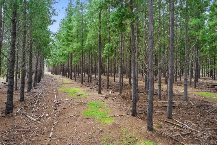 Second view of Homely land listing, 41 Catterick Road, Catterick WA 6255