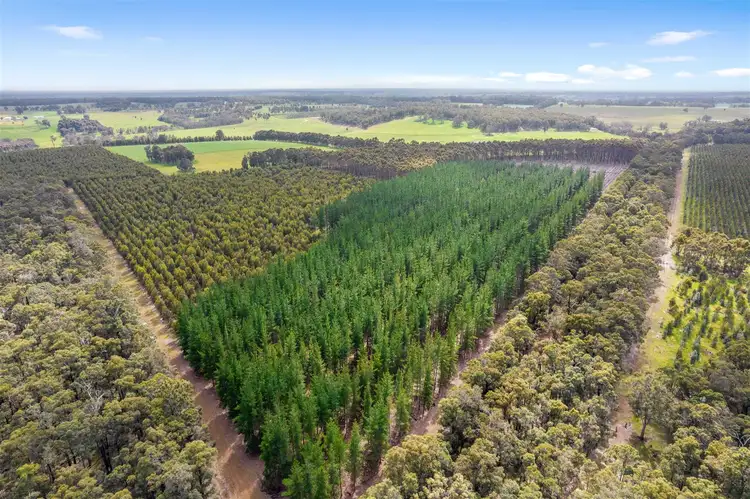 Fourth view of Homely land listing, 41 Catterick Road, Catterick WA 6255