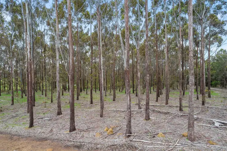 Sixth view of Homely land listing, 41 Catterick Road, Catterick WA 6255