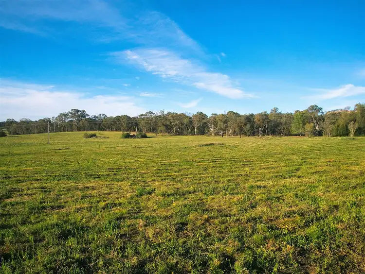 Fifth view of Homely rural property listing, 2652 Glen Alice Road, Rylstone NSW 2849