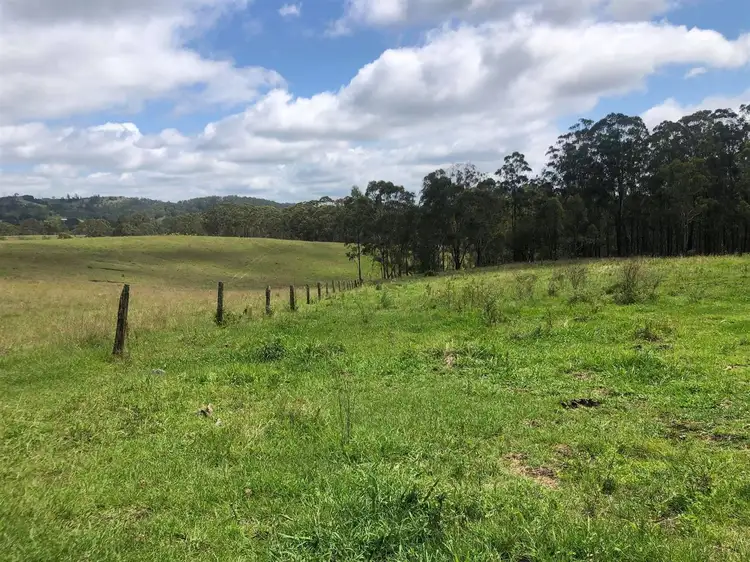 Main view of Homely rural property listing, 141 Tramway Road, Hampton QLD 4352