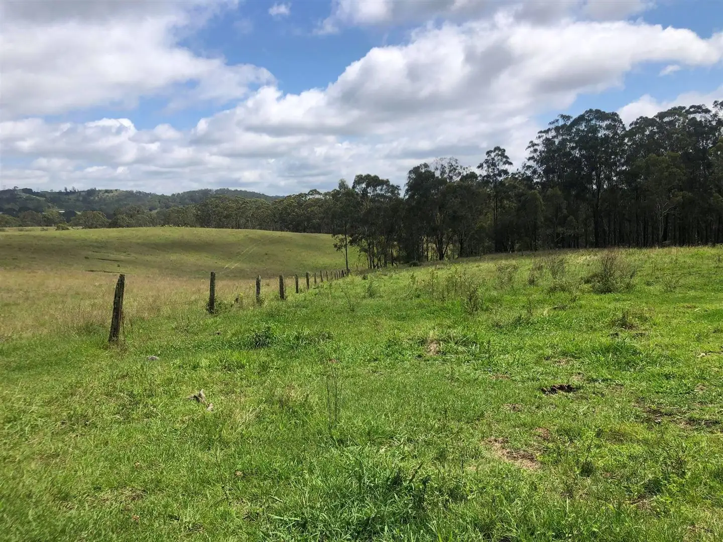 Main view of Homely rural property listing, 141 Tramway Road, Hampton QLD 4352