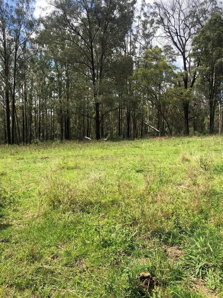 Second view of Homely rural property listing, 141 Tramway Road, Hampton QLD 4352