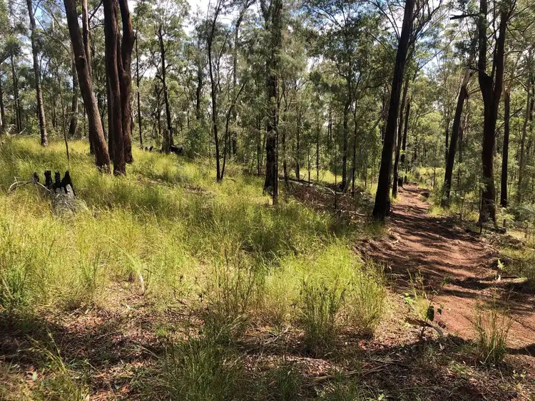 Fourth view of Homely rural property listing, 141 Tramway Road, Hampton QLD 4352