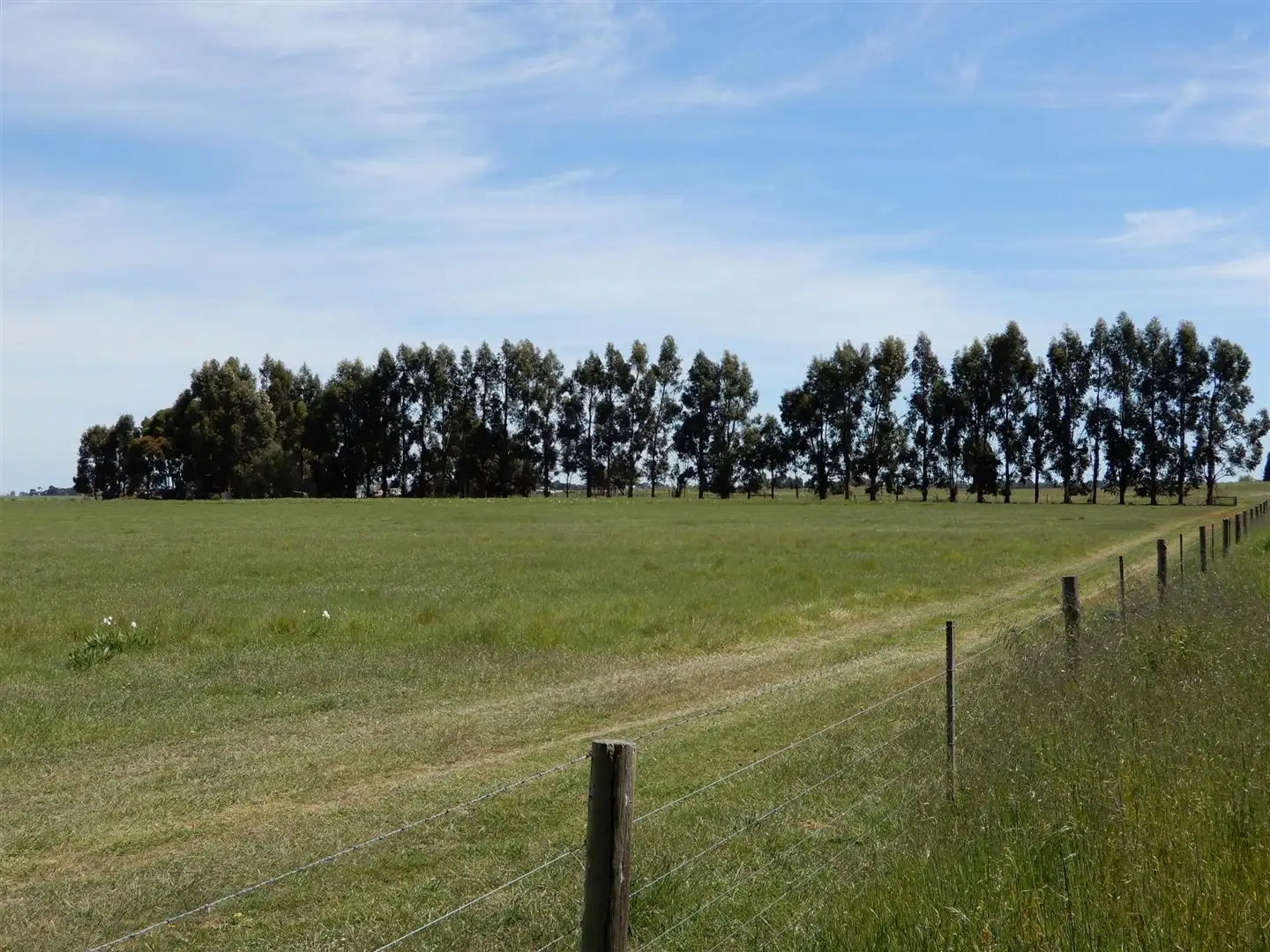 Main view of Homely rural property listing, 642 Gum Point Road South, Naracoorte SA 5271