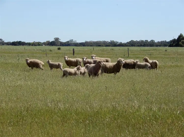 Second view of Homely rural property listing, 642 Gum Point Road South, Naracoorte SA 5271