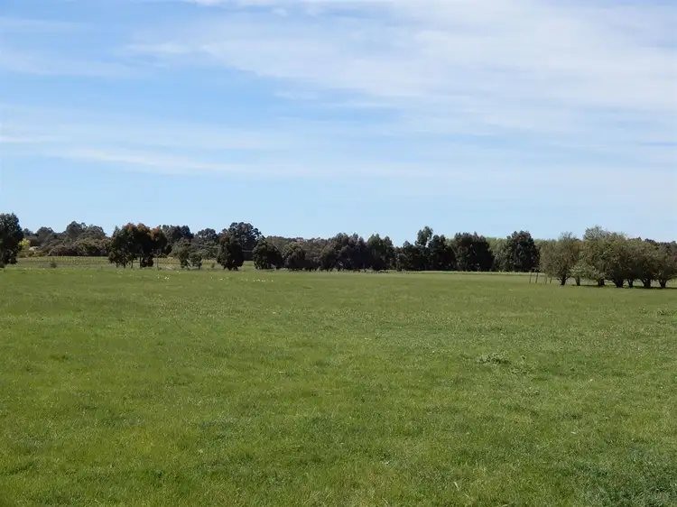 Third view of Homely rural property listing, 642 Gum Point Road South, Naracoorte SA 5271