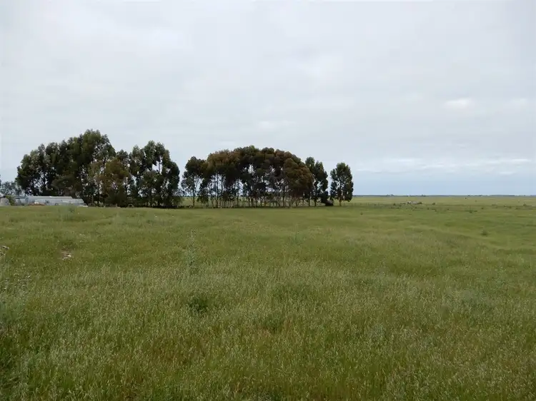 Fourth view of Homely rural property listing, 642 Gum Point Road South, Naracoorte SA 5271